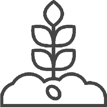 Icono 4