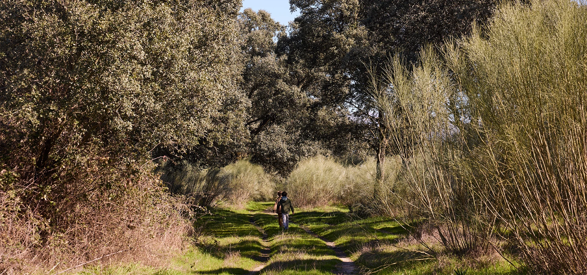 carrousell-country-living-2