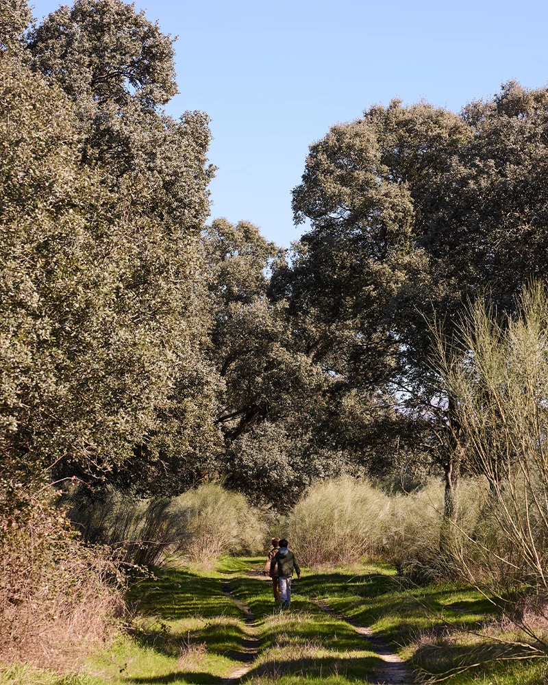 carrousell-country-living-2-movil