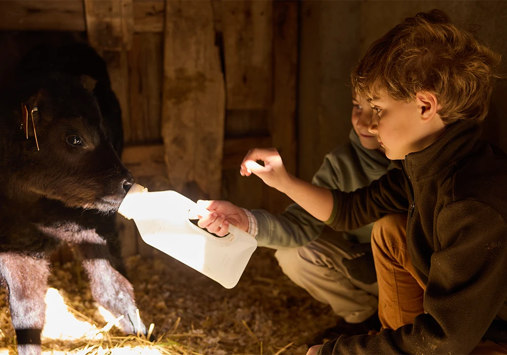 experiencias-country-living